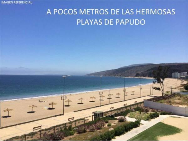 Photo of Others in Papudo
