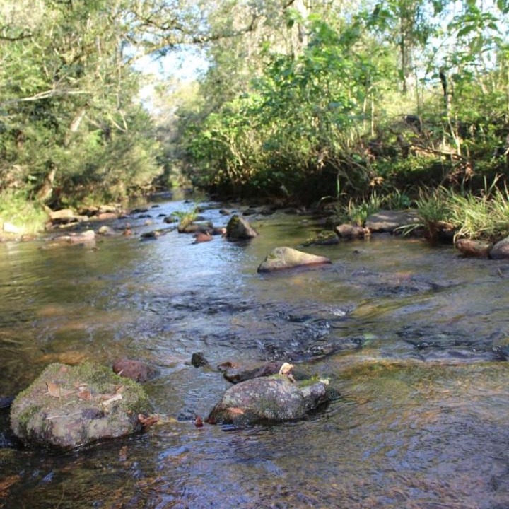 Photo of Others in El Soberbio