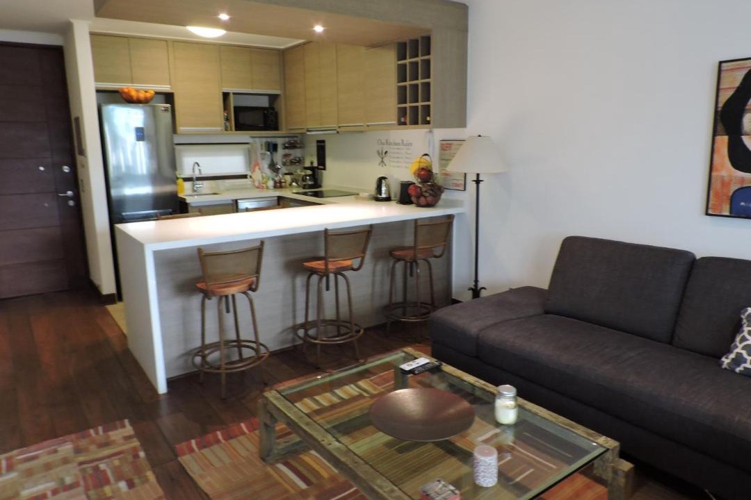 Photo of Livingroom in Pucon