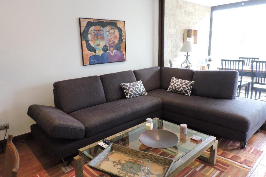 Photo of Livingroom in Pucon