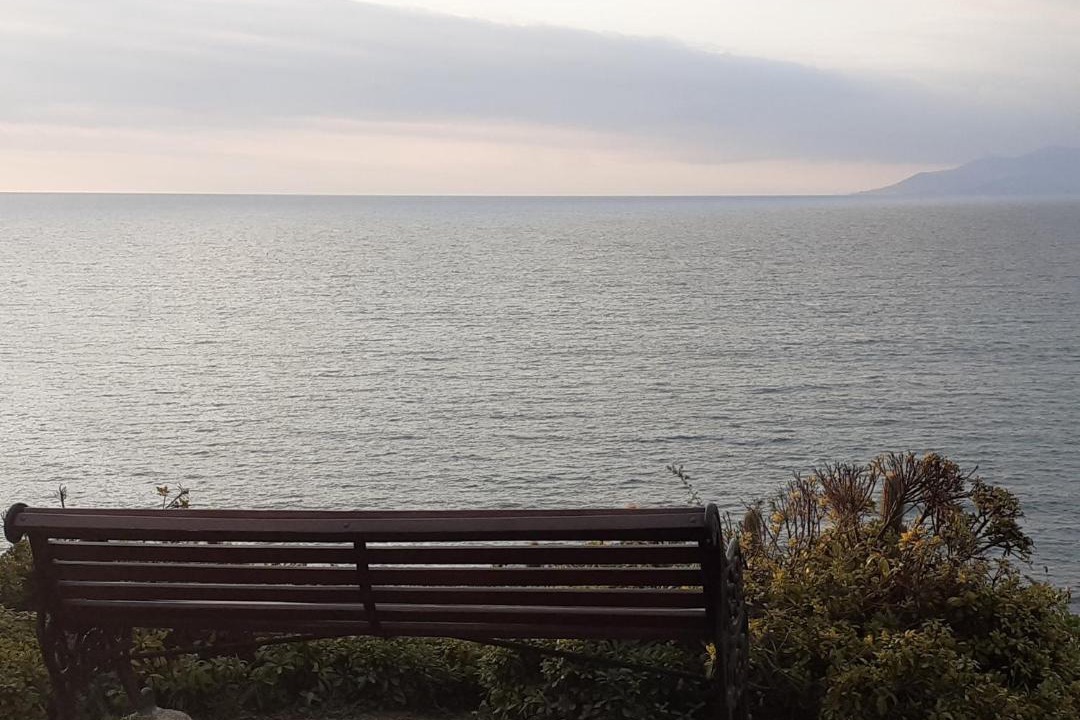 Photo of Others in Caleta Horcon