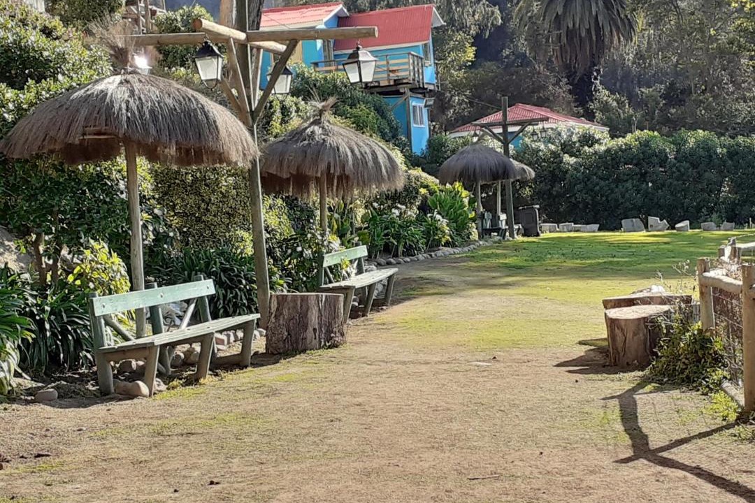 Photo of Others in Caleta Horcon