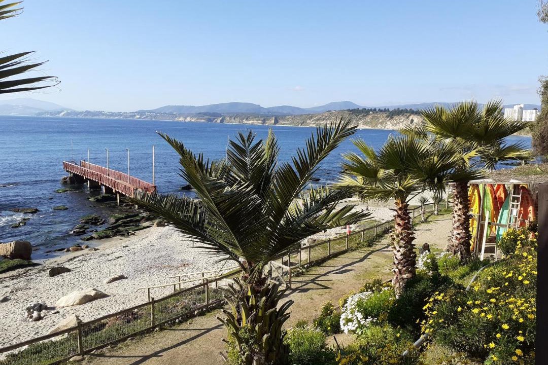 Photo of Outdoor in Caleta Horcon