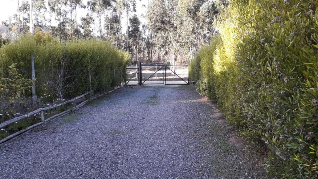 Photo of Others in Tunquen