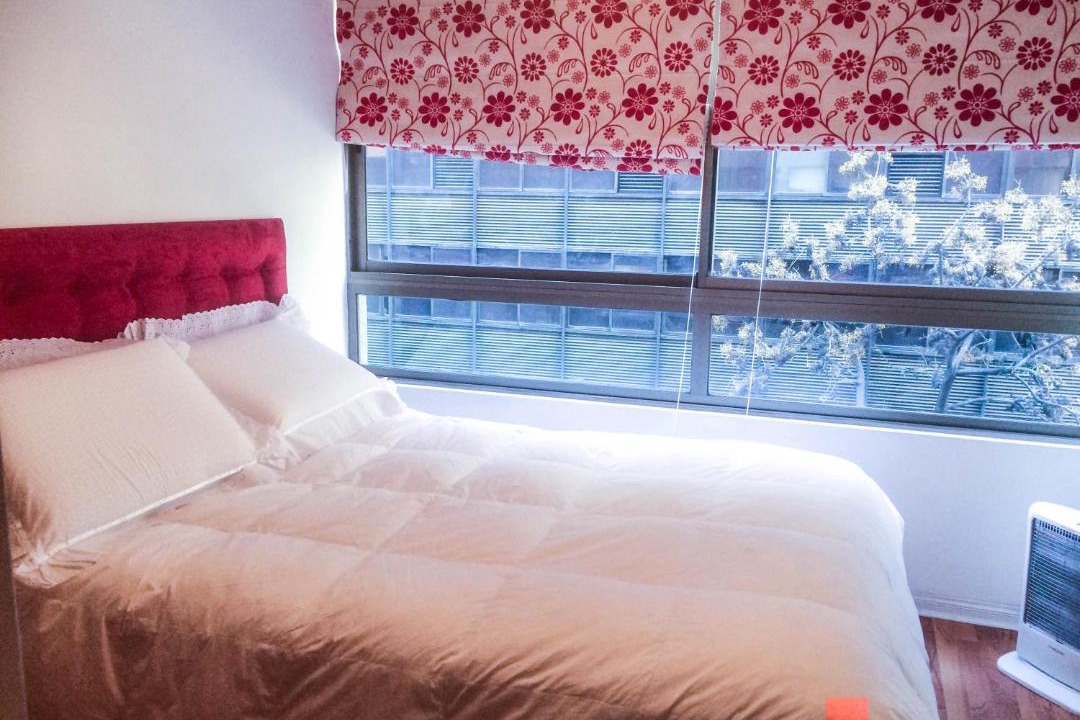 Photo of Bedroom in Downtown Santiago