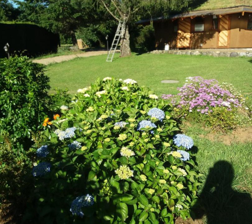 Photo of Others in Villarrica