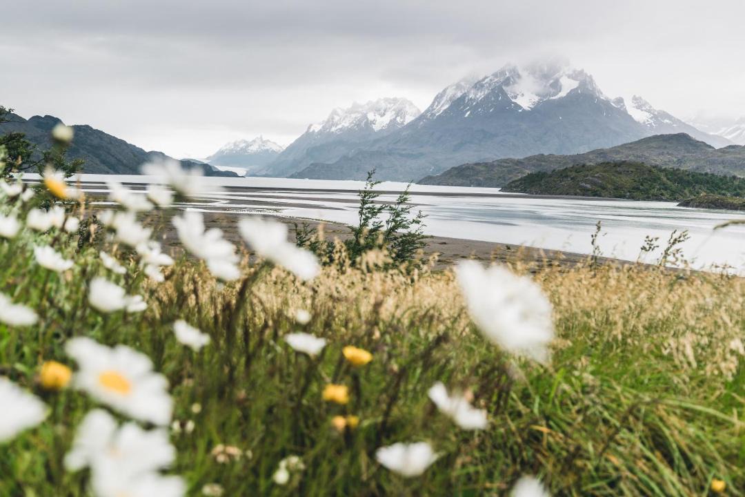 Photo of Others in Torres Del Paine