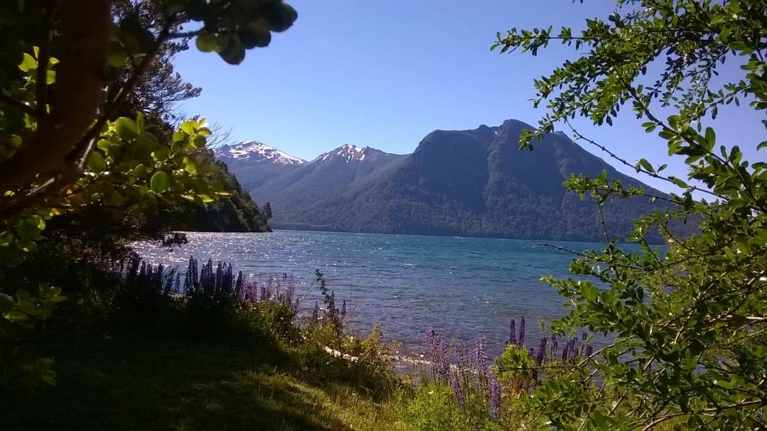 Photo of Others in Nahuel Huapi