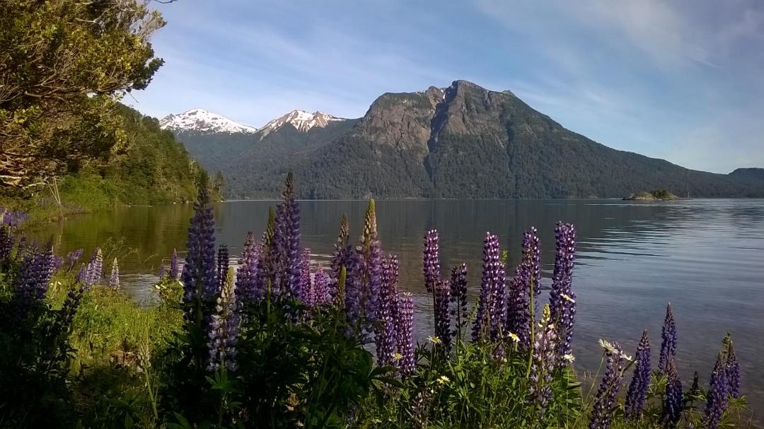 Photo of Others in Nahuel Huapi