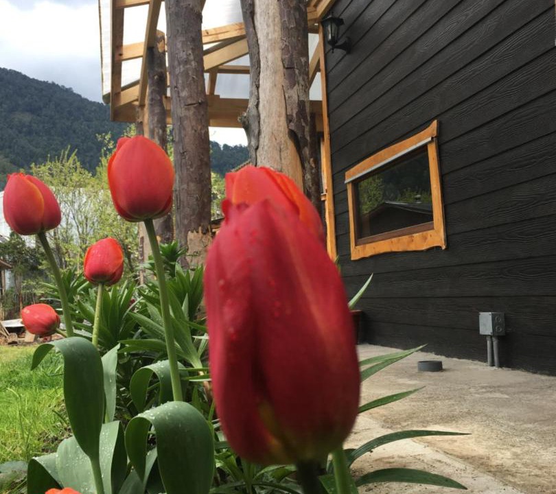 Photo of Others in Puyuhuapi