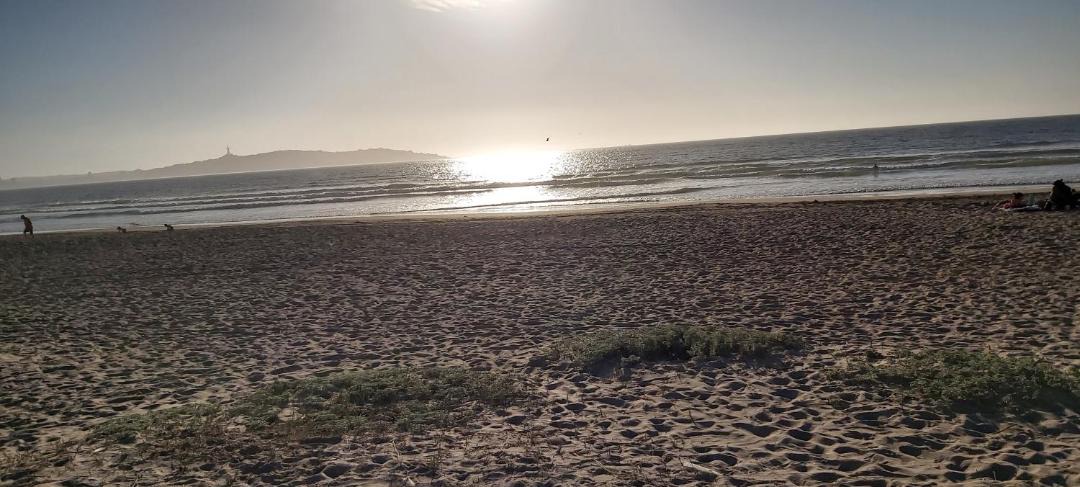 Photo of Others in La Serena