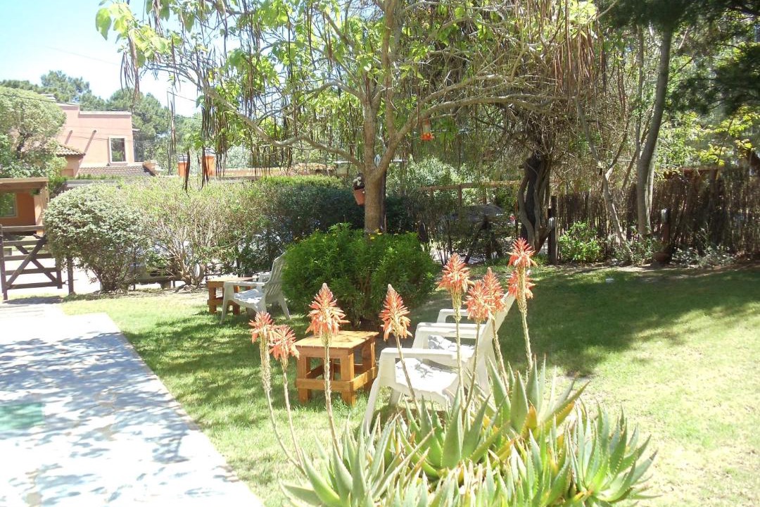 Photo of Others in Mar de Las Pampas