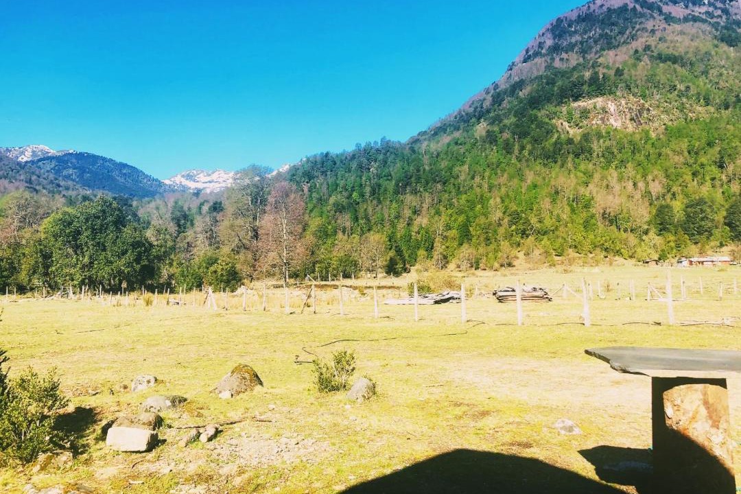 Photo of Outdoor in Curarrehue