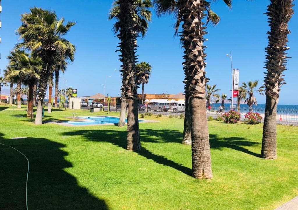 Photo of Outdoor in La Serena