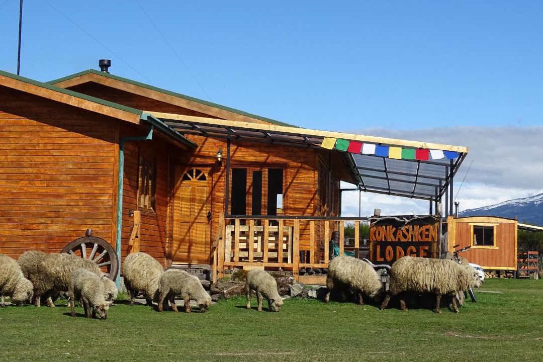 Photo of Others in Torres Del Paine