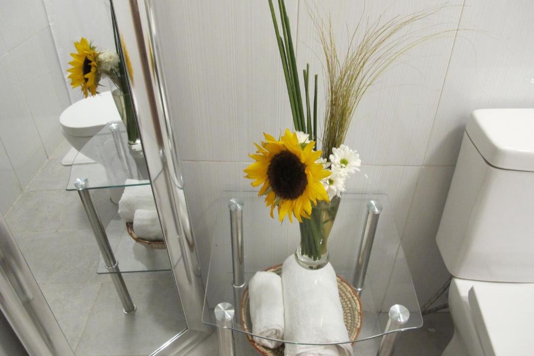 Photo of Bathroom in Chillan