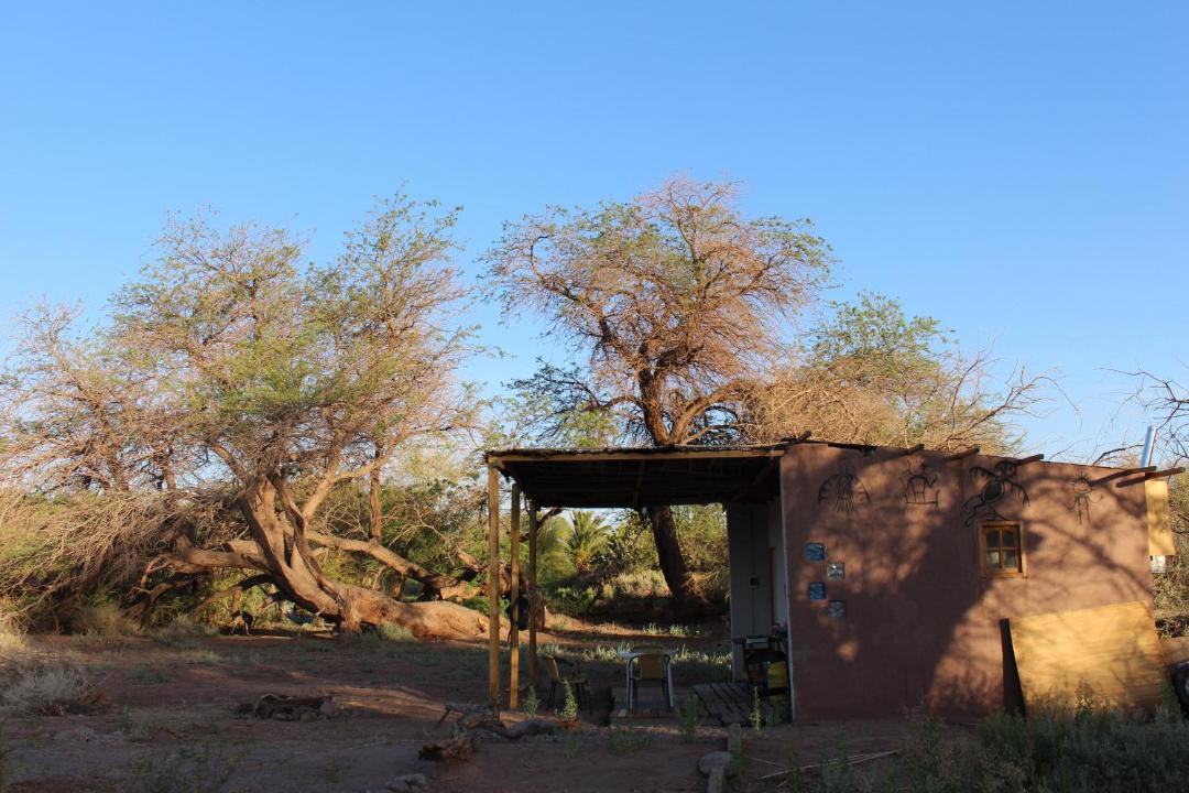 Photo of Others in San Pedro de Atacama