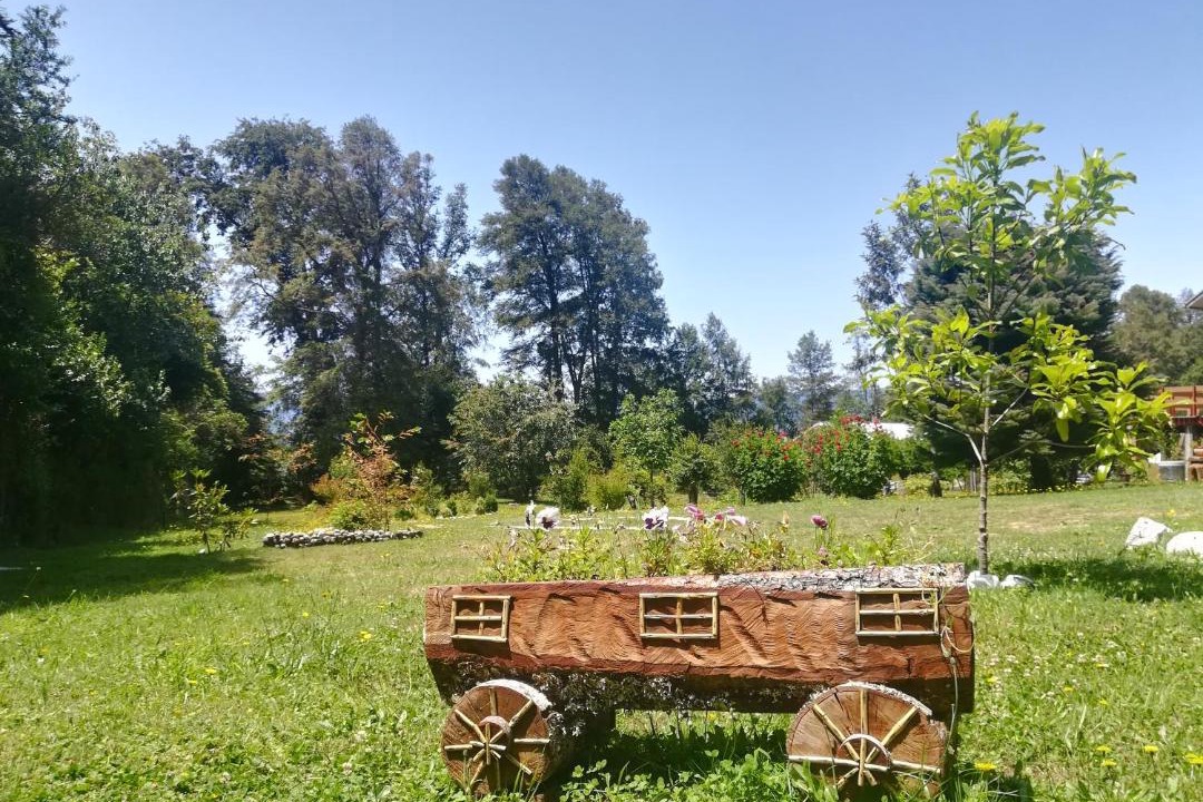 Photo of Others in Panguipulli
