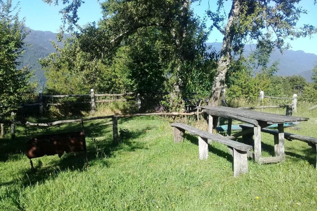 Photo of Others in Panguipulli