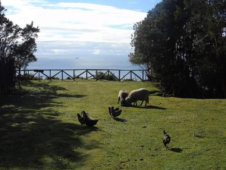 Photo of Others in Queilen