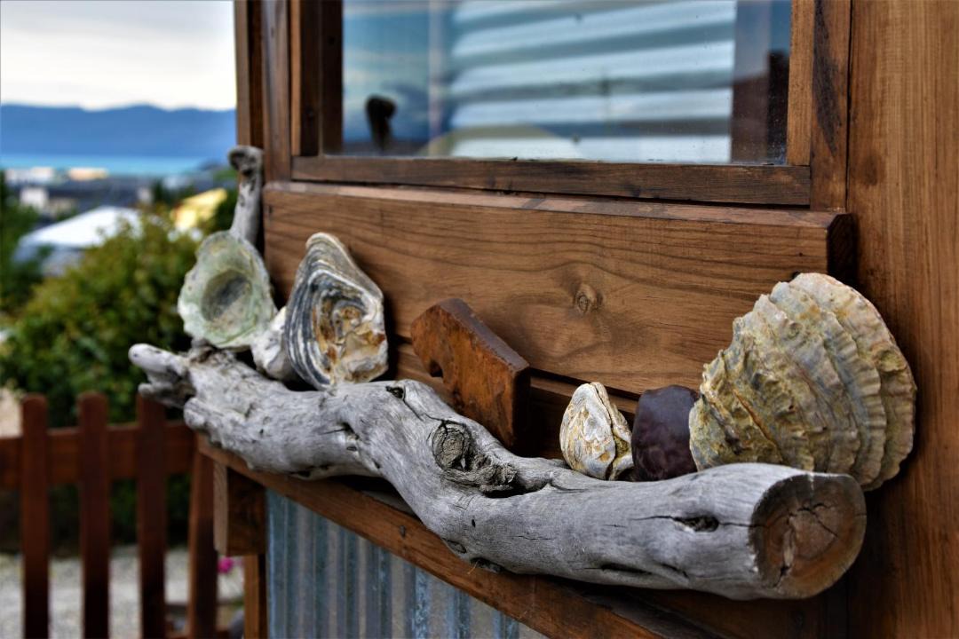 Photo of Others in Macrozona Meseta Cerro Calafate