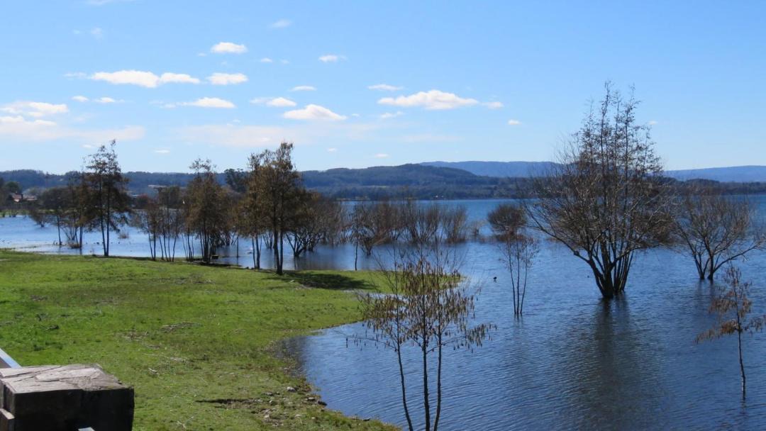 Photo of Others in Villarrica