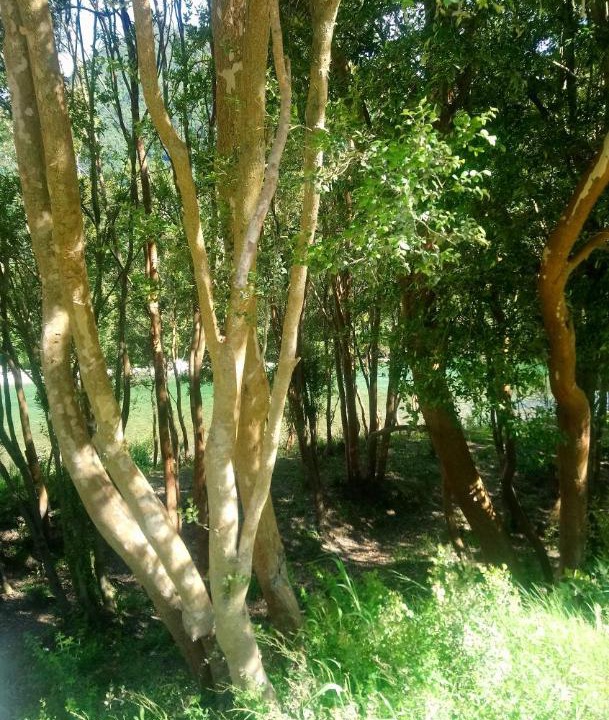 Photo of Outdoor in Los Ladrillos