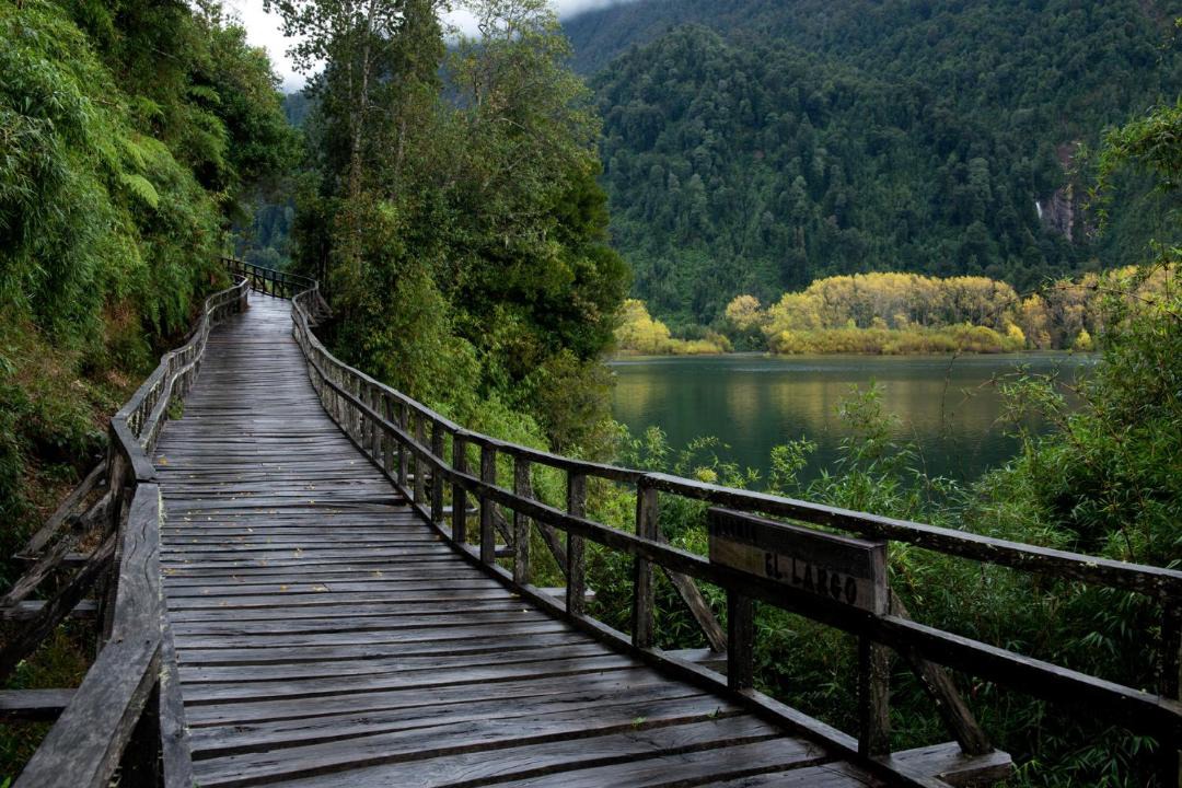 Photo of Others in Lago Ranco