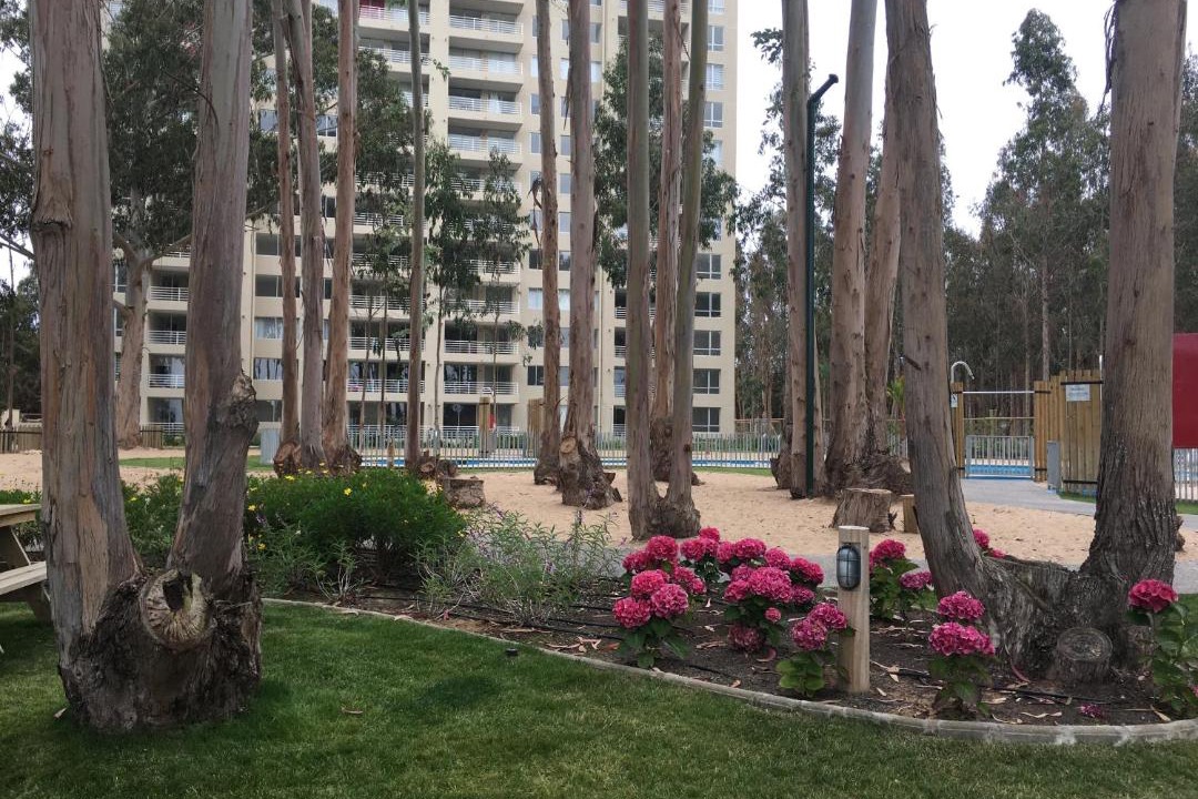 Photo of Buildings in Mirasol
