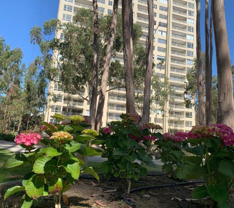 Photo of Buildings in Mirasol