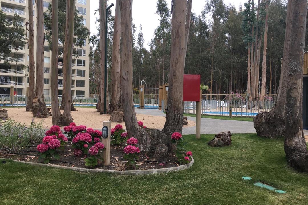 Photo of Buildings in Mirasol