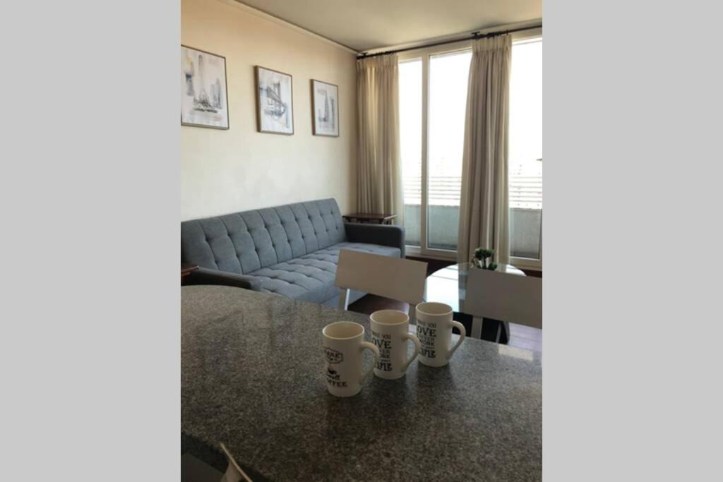 Photo of Livingroom in Downtown Santiago