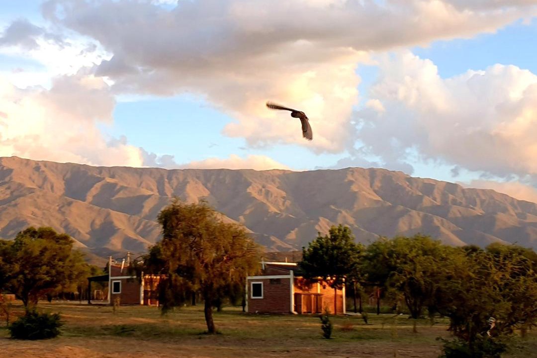 Photo of Others in San Javier