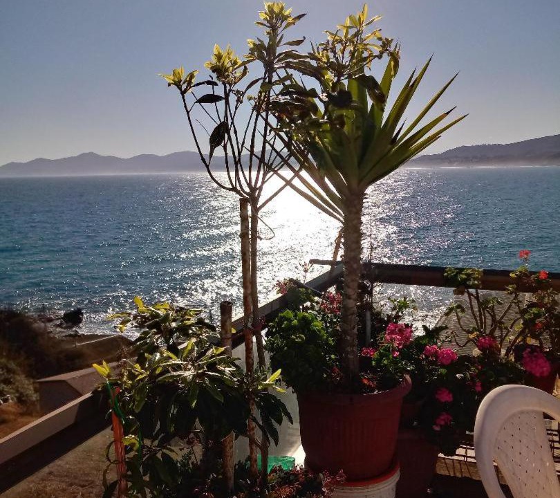 Photo of Others in Caleta Horcon