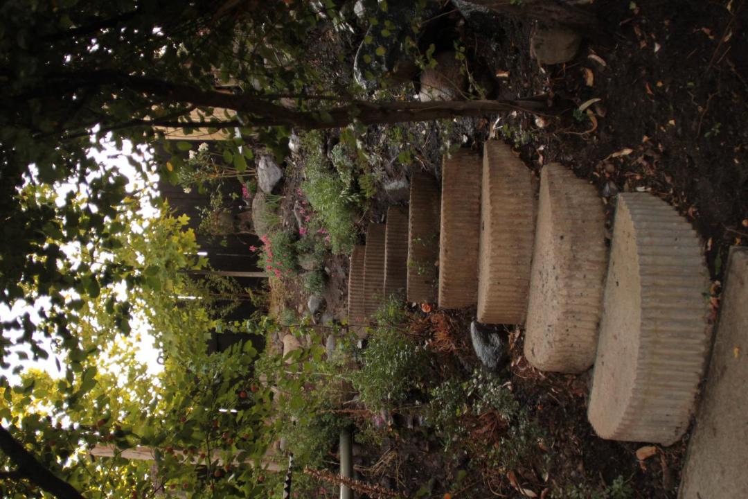 Photo of Others in Melocoton