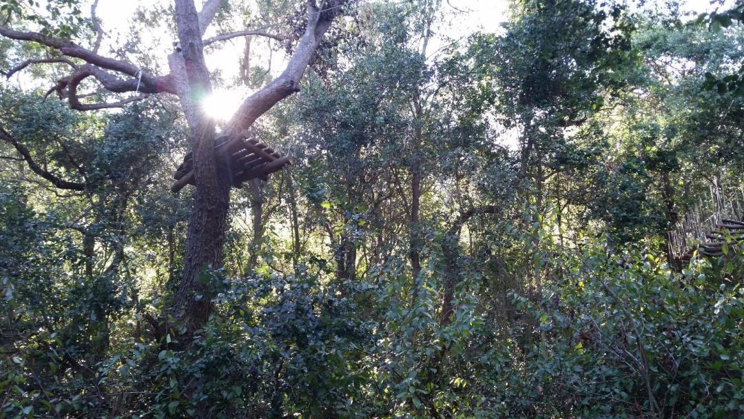 Photo of Outdoor in Olmue