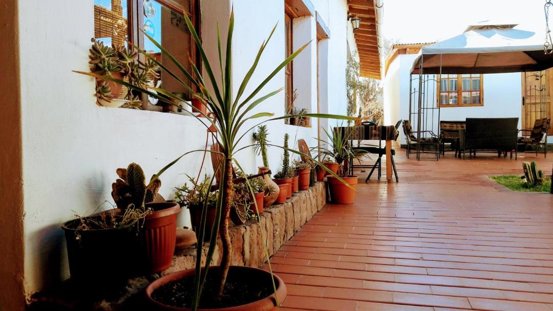 Photo of Others in San Pedro de Atacama