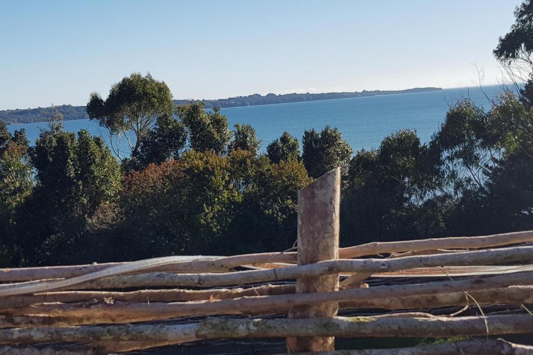 Photo of Others in Ancud