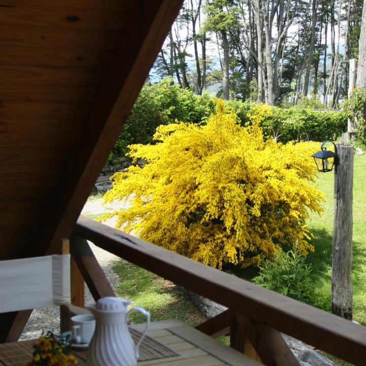Photo of Others in Villa La Angostura