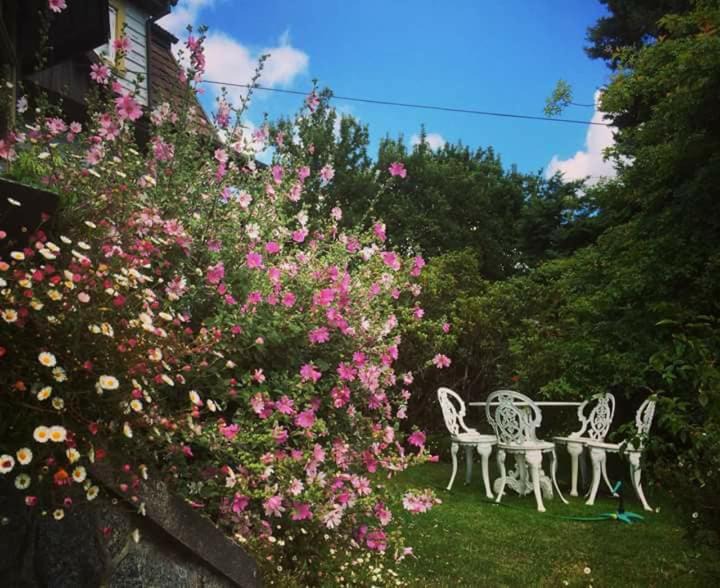 Photo of Others in Frutillar