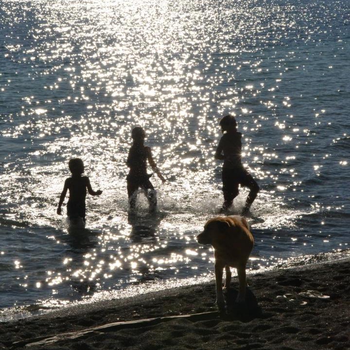 Photo of Others in Villa La Angostura