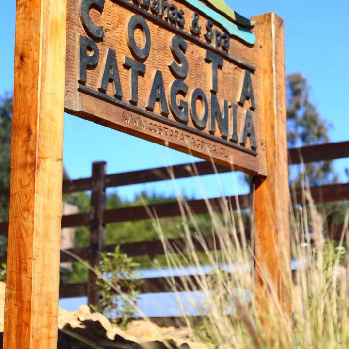 Photo of Others in Pichilemu