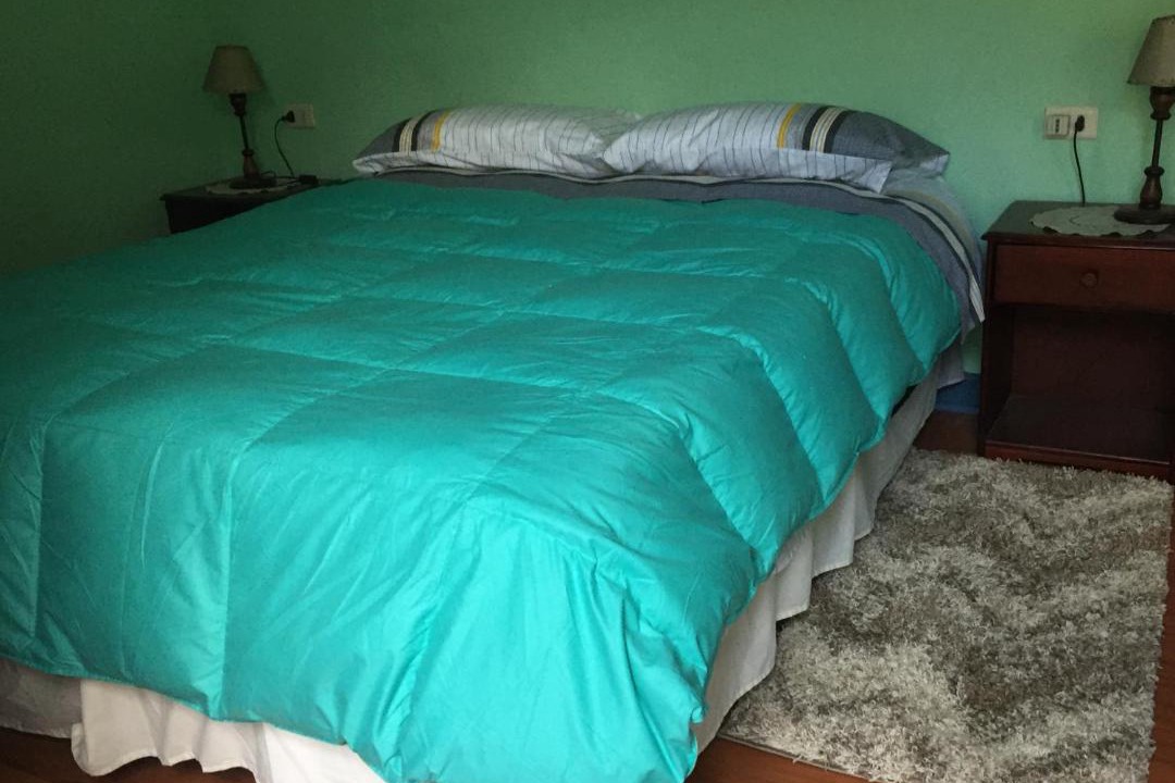 Photo of Bedroom in Downtown Santiago