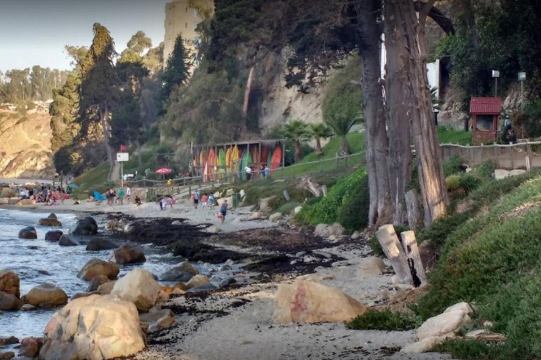 Photo of Others in Caleta Horcon