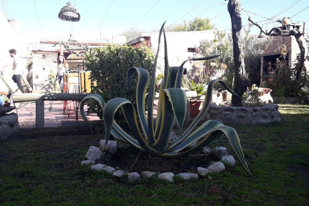 Photo of Others in Cafayate