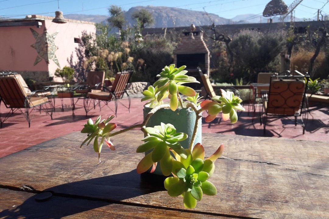Photo of Others in Cafayate