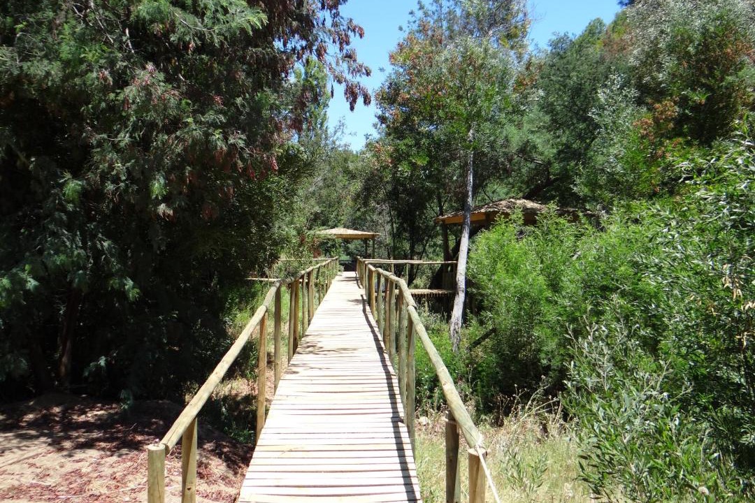 Photo of Others in Cauquenes