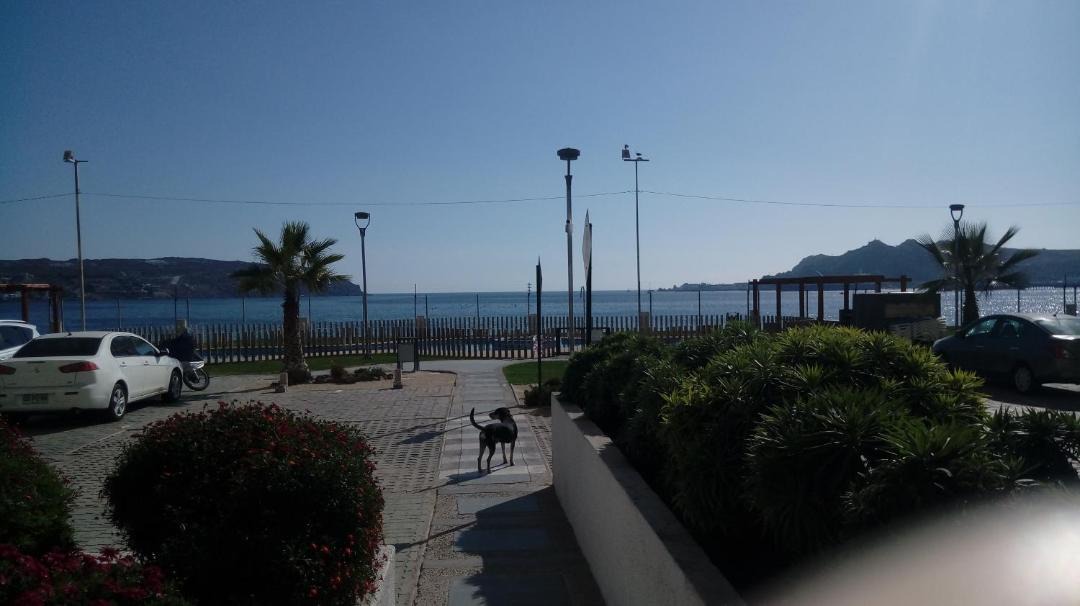 Photo of Outdoor in La Herradura