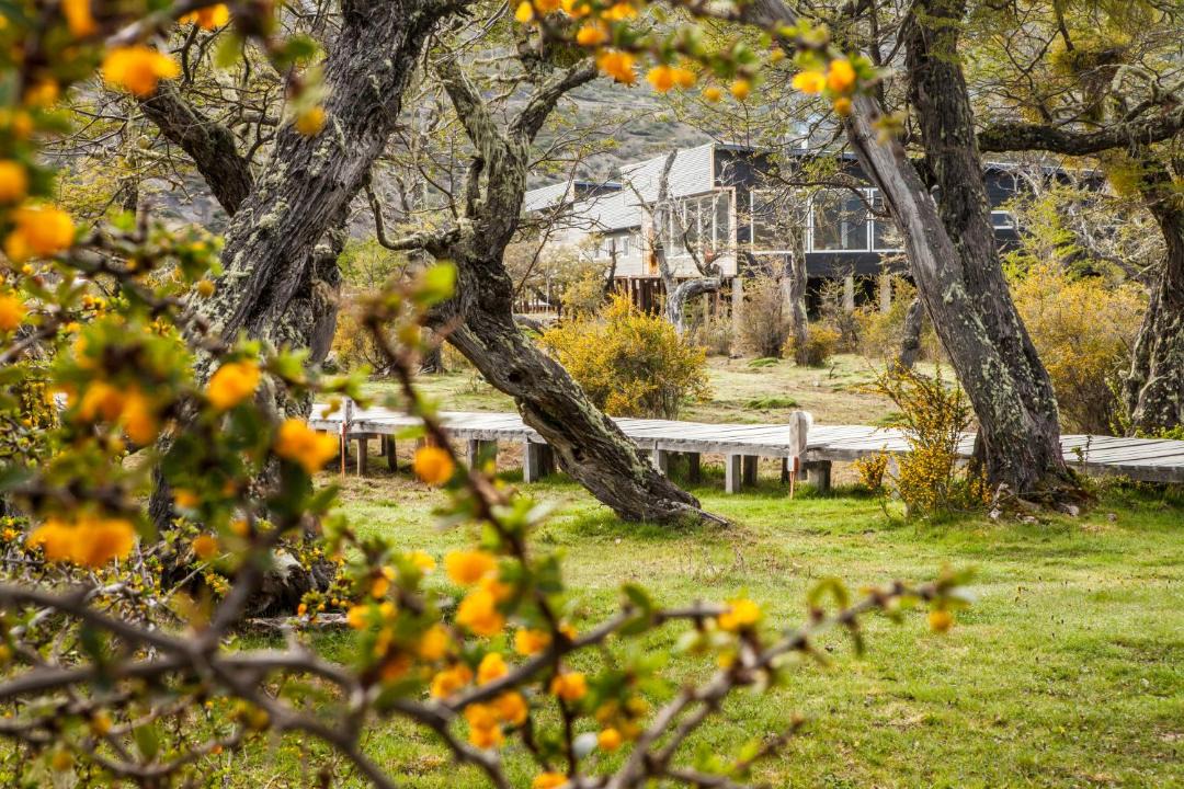Photo of Others in Torres Del Paine