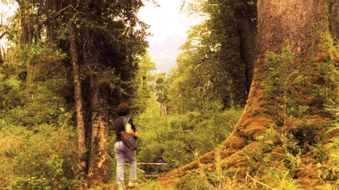 Photo of Outdoor in Cisnes